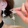 Silver Needle Metal Style Diamond Butterfly Tassel Geometric Stud Earrings, Premium Ins Niche Personalized Fashion Earrings for Women