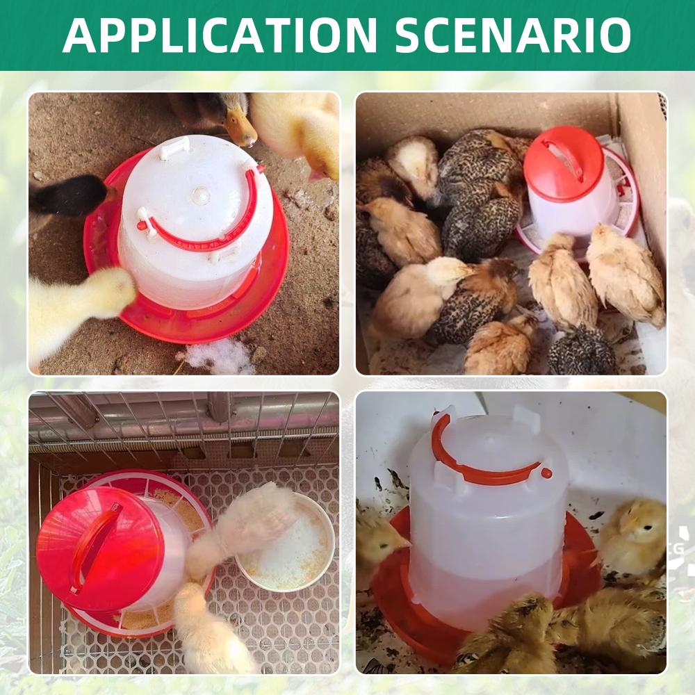 Automatic Chicken Feeder Water Bucket With Poultry Chicken Feeder Durable Water Barrel Drinker Quail Drinking Farm Supply