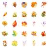 50 Original Non-Infringement Autumn Plant Graffiti Stickers Pp Waterproof Decorative Stickers