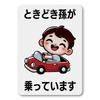 Accessori esterni – Adesivi per auto