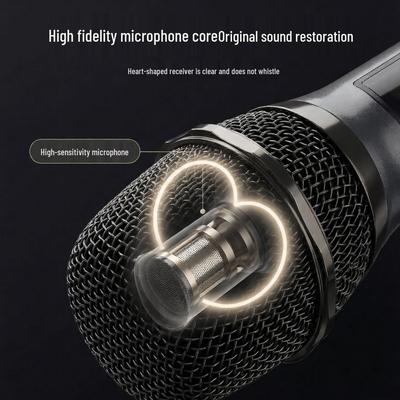 Accessori per audio e video – Microfoni