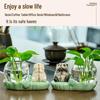 Frog-Themed Hydroponic Vase for Office Decoration