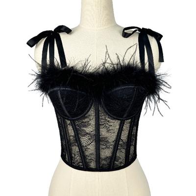 Corsets, roupas femininas elegantes e da moda