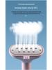 Défroisseur Vapeur Multifonctionnel Haute Puissance: Fer à repasser vertical/portatif de grande capacité (Norme UE/Royaume-Uni)