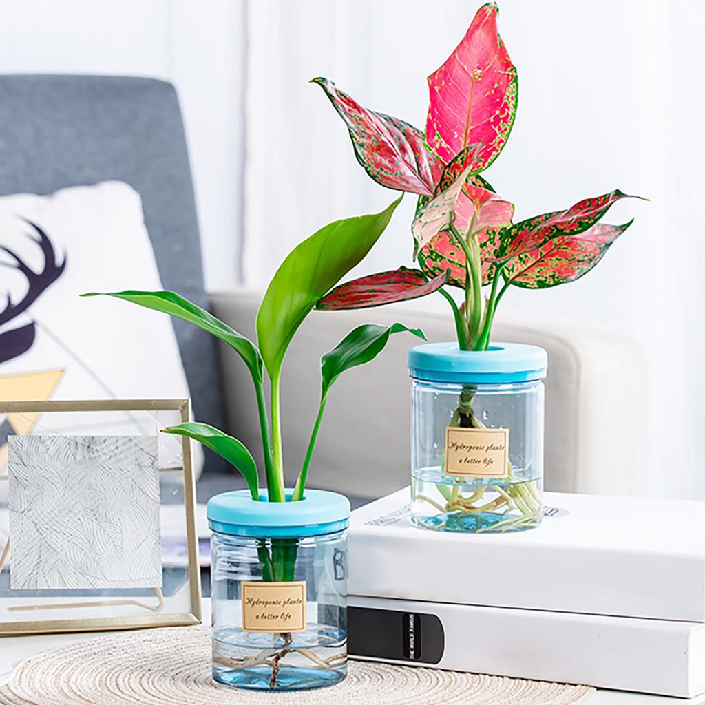 Self Watering Flowerpots Indoor Miniature Succulents Planter Tabletop Vase Suitable for Various Inner Decoration Setting