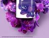 Lishi Youlian Meifu Plant Extract Shower Gel - Refreshing, Long-lasting Fragrance by Master Perfumer