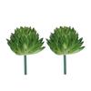 2pcs Colorful Fake Plant Plastics Artificial Flower Artistic Echeveria Chihuahuaensis  Home Decor