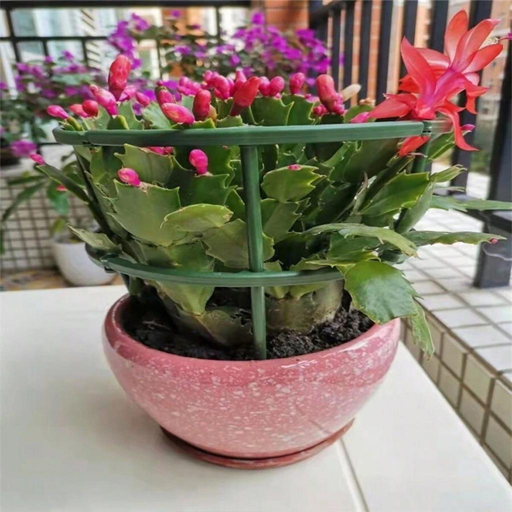 Plant Support Stakes Cage Plie Flower Stand Holder Plastic Semicircle Green House Orchard Fixing Rod Gardening Bonsai Tools