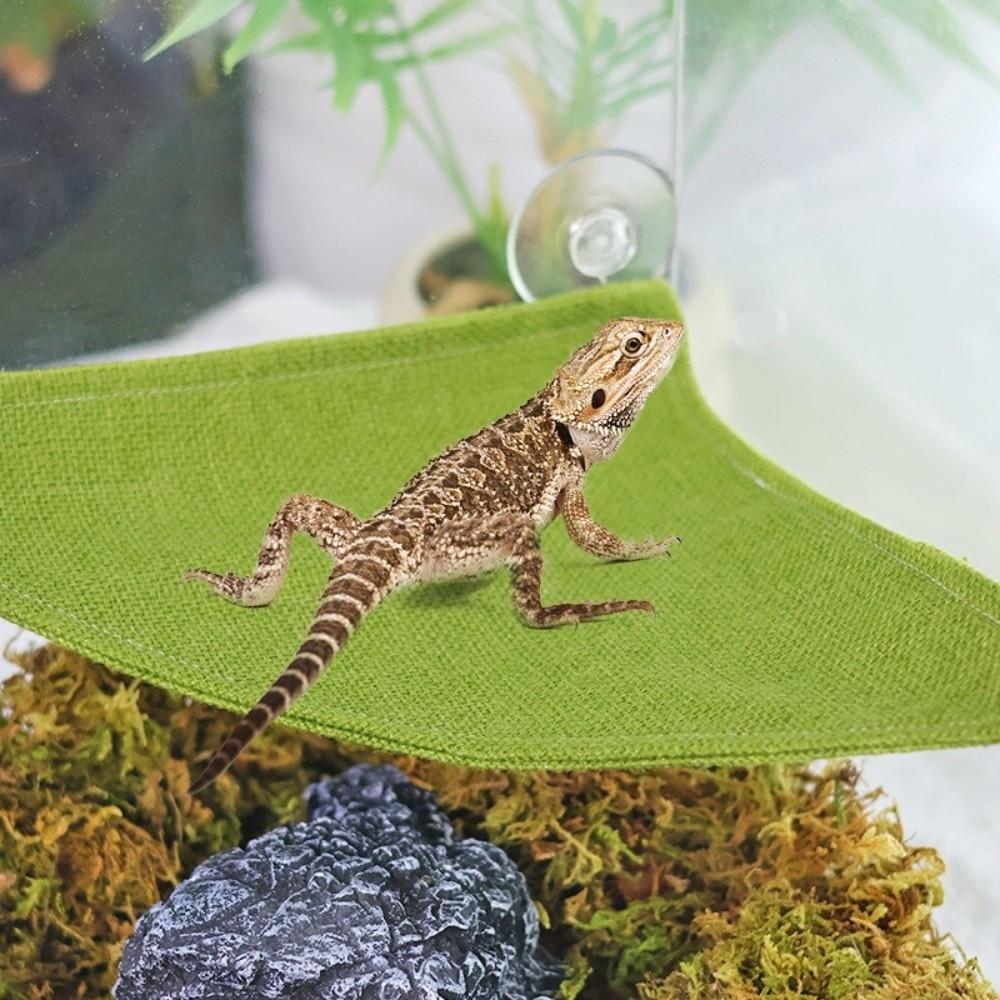 Suction Cup Lizard Triangle Hammock Breathable Geckos Habitat Home Terrarium Decoration