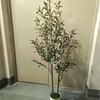 Olive Tree Potted Plant - Indoor Decor Simulation for Living Room
