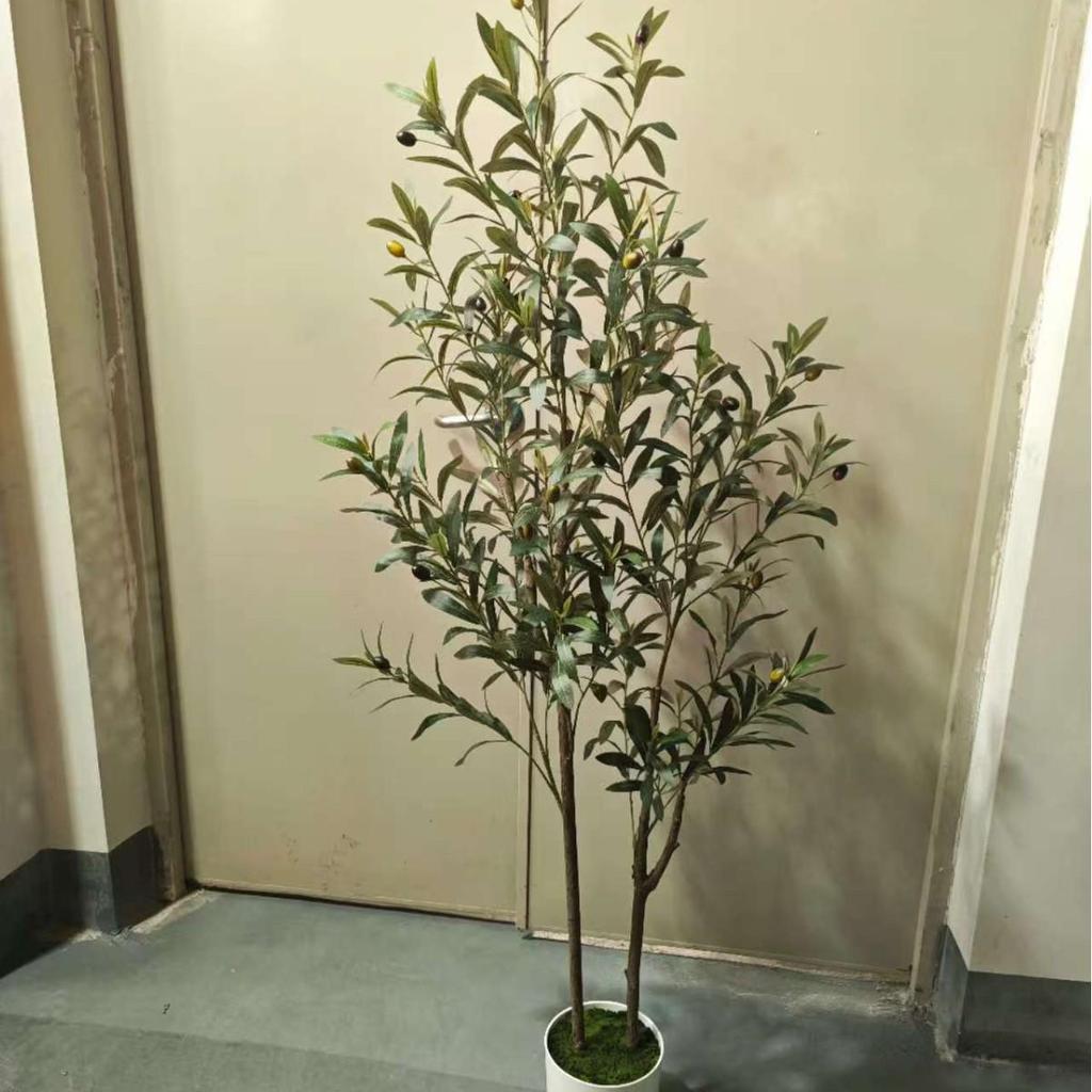 Olive Tree Potted Plant - Indoor Decor Simulation for Living Room