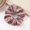 Hair Tie Adjustable Fit High Elasticity Smooth Satin Hair Band Soft Non-Irritating Scalp Hair Holder Daily Party Outing Hair Accessory