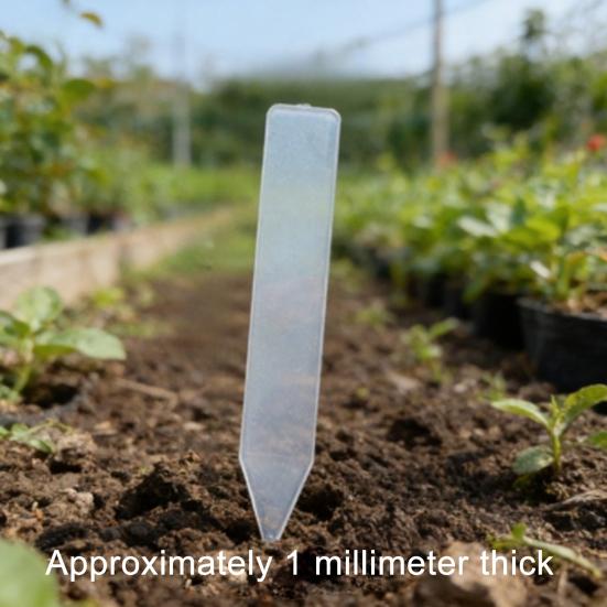 Mini Zelfwaterende Potten met Lont, Transparante Plastic Bloempotten met Drainagegaten & Waterniveau-indicator voor Kamerplanten Vermeerdering Zaaien