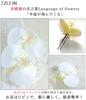 JZOON Hair Ornament Types Phalaenopsis Perfect for and Cute Dahlia X1103 C (4 Available) Orchid, Coming-of-Age Ceremonies, Shichi-Go-San Ceremonies,