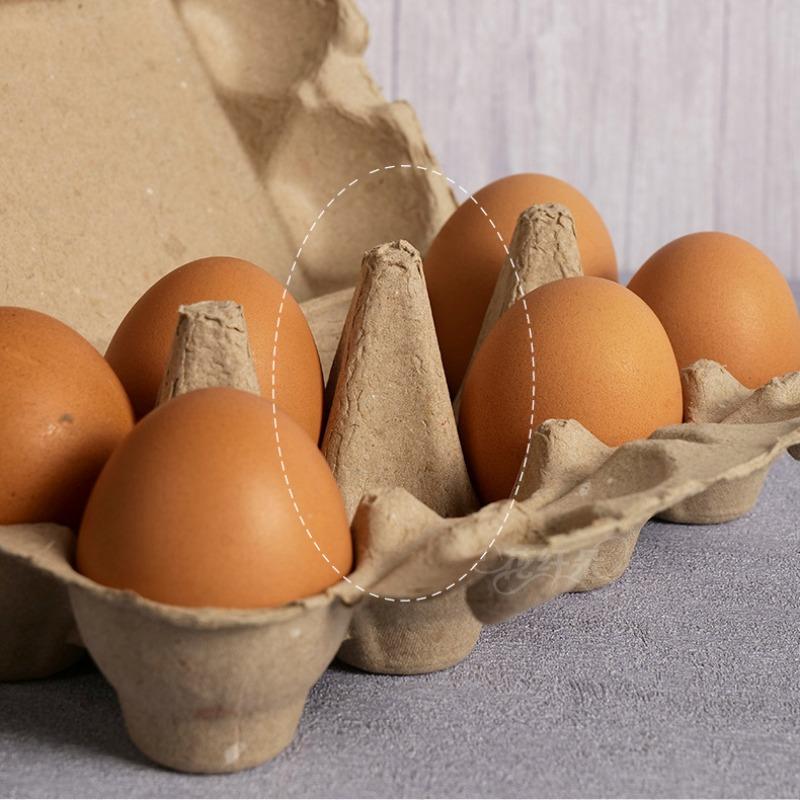10pcs, Native Egg Packaging Box, Egg Tray Egg Box Pulp Egg Tray Soil Egg Packaging Box for Family, Farm, Market, Camping, Picnic