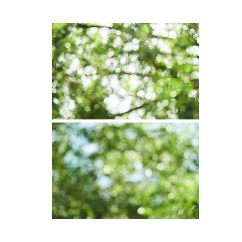 3D Double-Sided Tree Shadow Background Paper for Photography: Minimalist Prop for Cosmetics, Food, and Jewelry Still Life