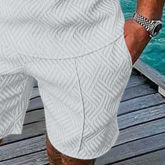 2 Pcs/Set Men Shirt Shorts Set Zip Neckline Lapel Solid Color Short Sleeves