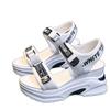 Sports sandals women's new summer versatile fish mouth wedge heel muffin thick-soled dad high-heeled women's shoes