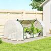 Greenhouse with PE Mesh Film, Winter-Proof Film Greenhouse Made of Steel, Hothouse, 200 x 100 x 80 cm, White