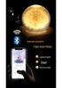 Dandelion Bluetooth Speaker Night Light: Crystal Ball with Preserved Flower - Unique Christmas/Birthday Gift