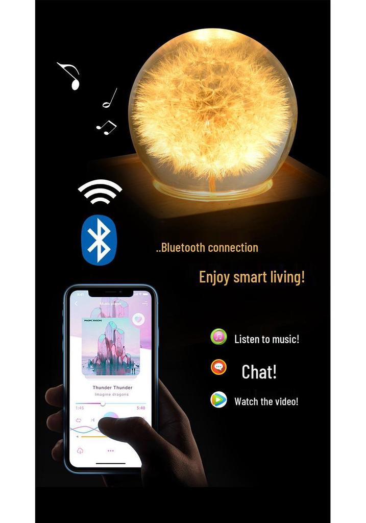 Dandelion Bluetooth Speaker Night Light: Crystal Ball with Preserved Flower - Unique Christmas/Birthday Gift