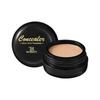 Concealer, freckles, covering spots, foundation cream, dark circles, acne marks, waterproof face