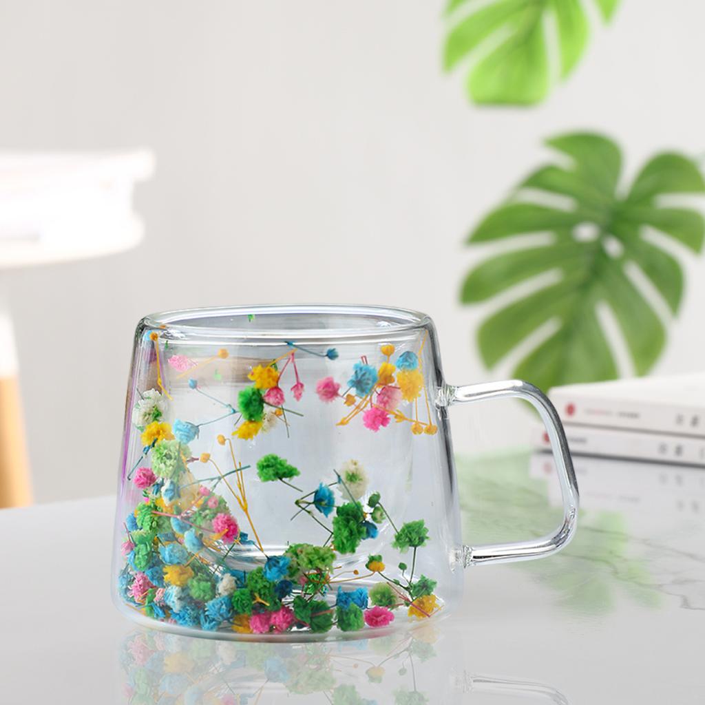 200ML Double Walled Glass Cups with Real Dried Flowers Heat Resistant Clear Coffee Mugs Floral Design Tea Cups for Elegant Sipping