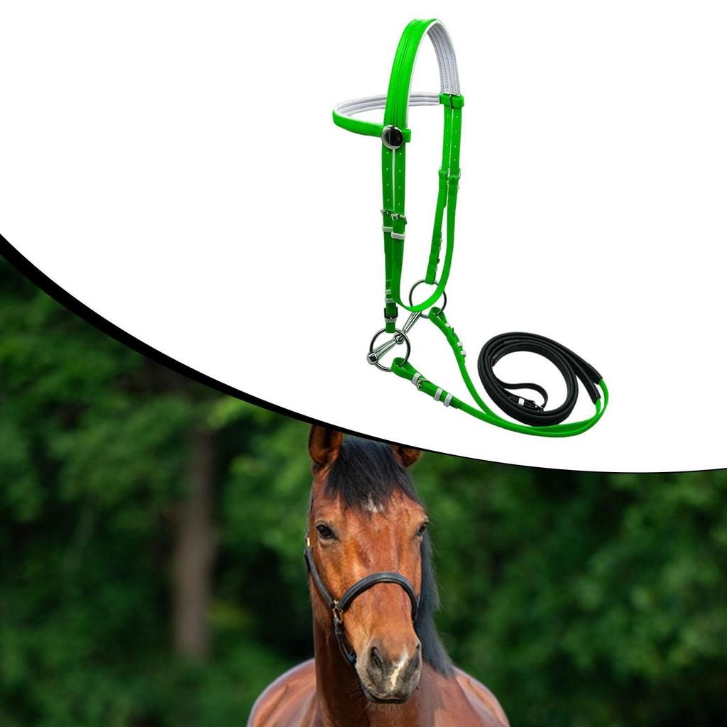 Pferdezäumung mit Zügel Halfter Verstellbare Reitausrüstung Genickriemen Führseil für Verein