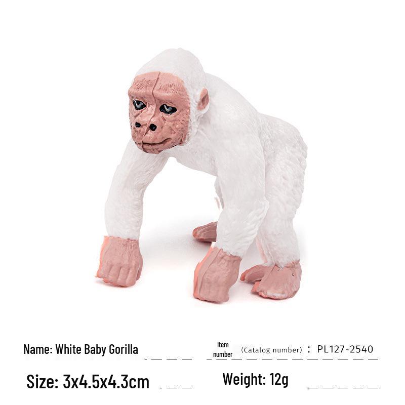 Cross-border Wild Animal Models: Orangutan, Gorilla, Chimpanzee