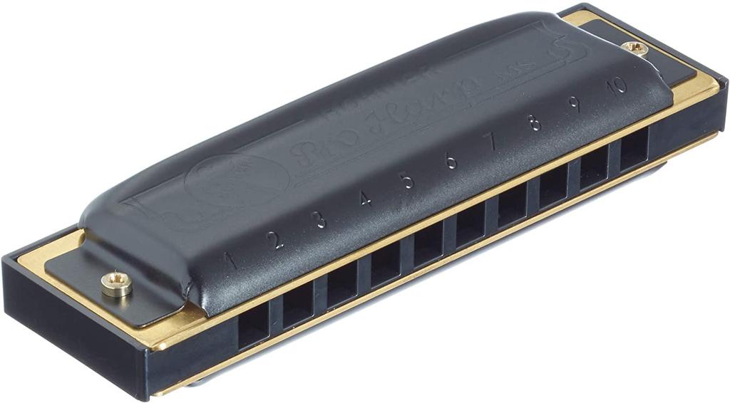 HOHNER PRO HARPB Pro Harp 10-hole Harmonica