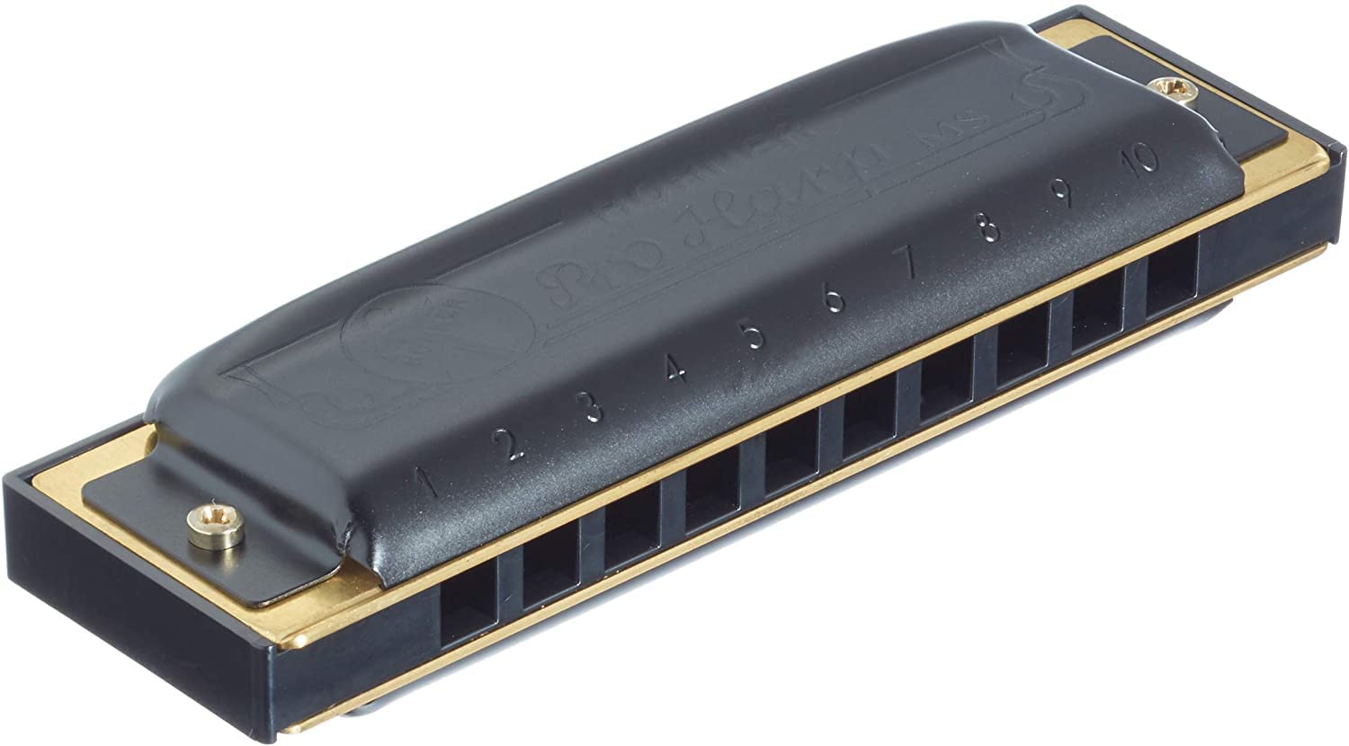 

HOHNER PRO Professional Harp harmonica HARP/B 10-hole чёрный