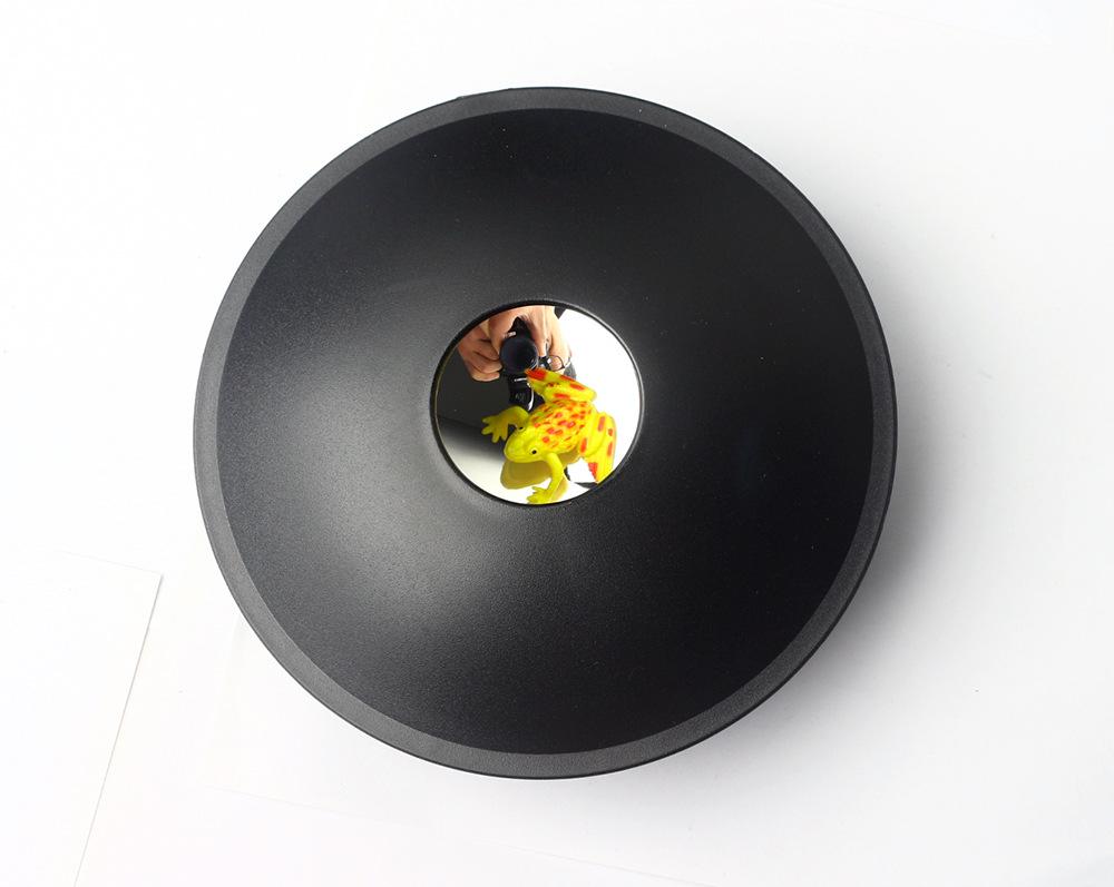 Optical Illusion Box: Educational Science Toy with Frog & Ladybug Refractions - Perfect for Students & Birthdays