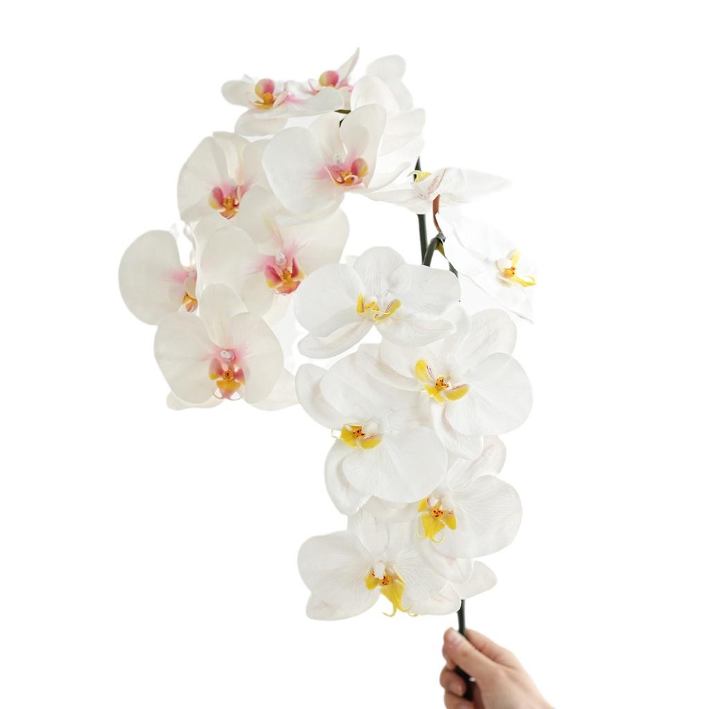 High Quality Luxury Flowers Latex 8 Heads Butterfly Orchids Artificial Real Touch Phalaenopsis Orchid Wedding Decor