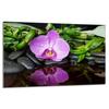 Glass Hob Protector 80x52 Orchid