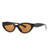 Cat Eye Shape Women's Sunglasses Retro Vintage Style UV400 Protection Sun Eyeglasses Female Travelling Hiking Male Sunglass