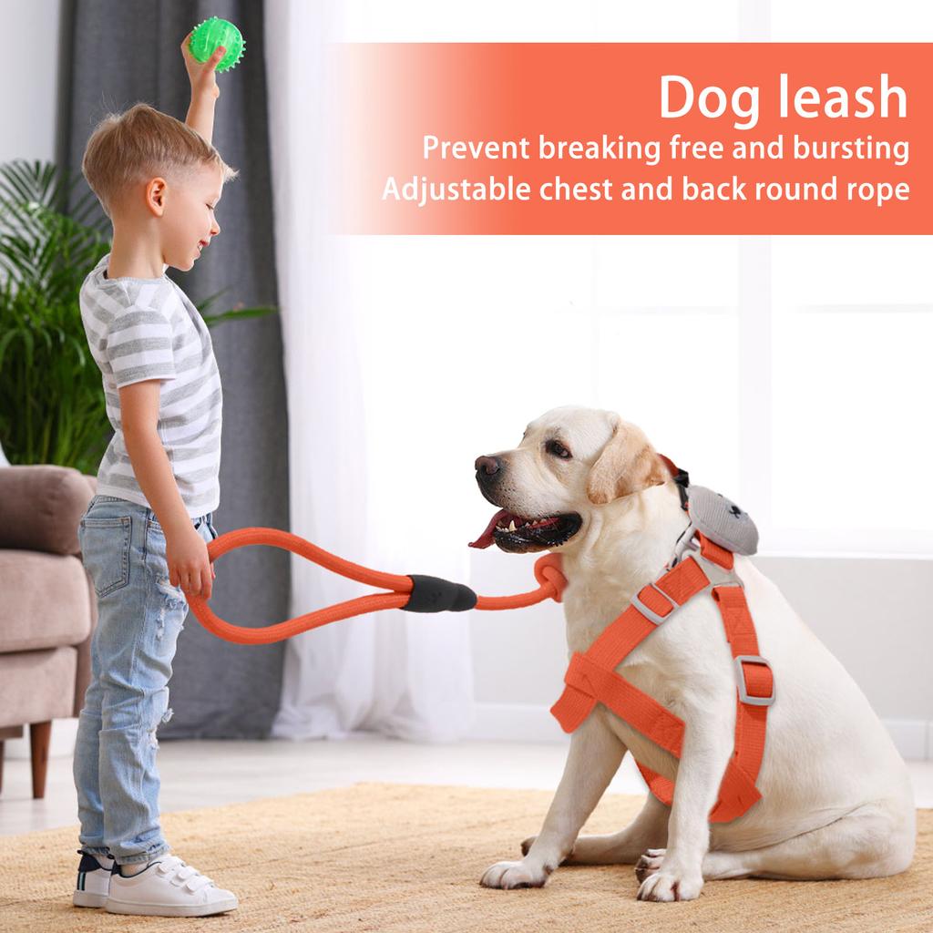 Dog Traction Rope, And , Specially Designed For Outdoor Use, Adjustable Chest And Back Hanging Card, Bright Silk Chest And Back Traction Round Rope