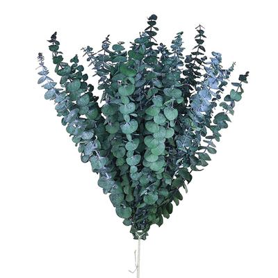 10Pcs Artificial Eucalyptus Leaf Non-withering No Watering Photo Props Realistic Reusable