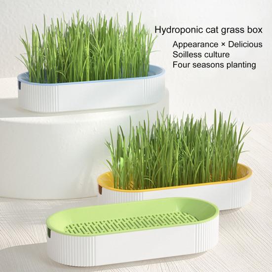 Cat Grass Planter Soilless Planting Visible Water Level Drain Grid U-hole Sturdy Sink Detachable Catnip Grow Box Pet Supply