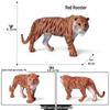 Siberian, Male, African, and White Tiger Cognitive Toy Set for Kids.