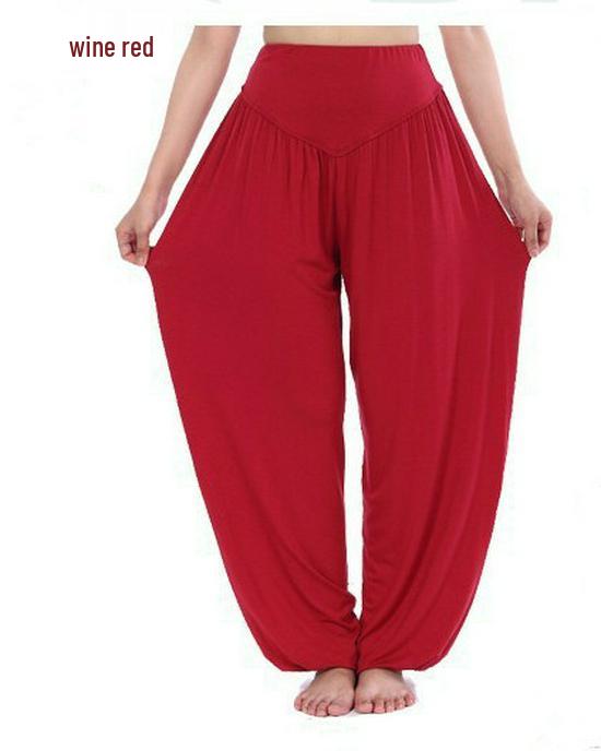 Modal Harem Yoga Pants: Unisex Tai Chi Dance & Fitness Sportswear, Plus Size Available