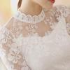 Women's Lace Chiffon Shirt - Long Sleeve, Stand-Up Collar, Slim Fit, Autumn/Winter Fashion, Plus Size