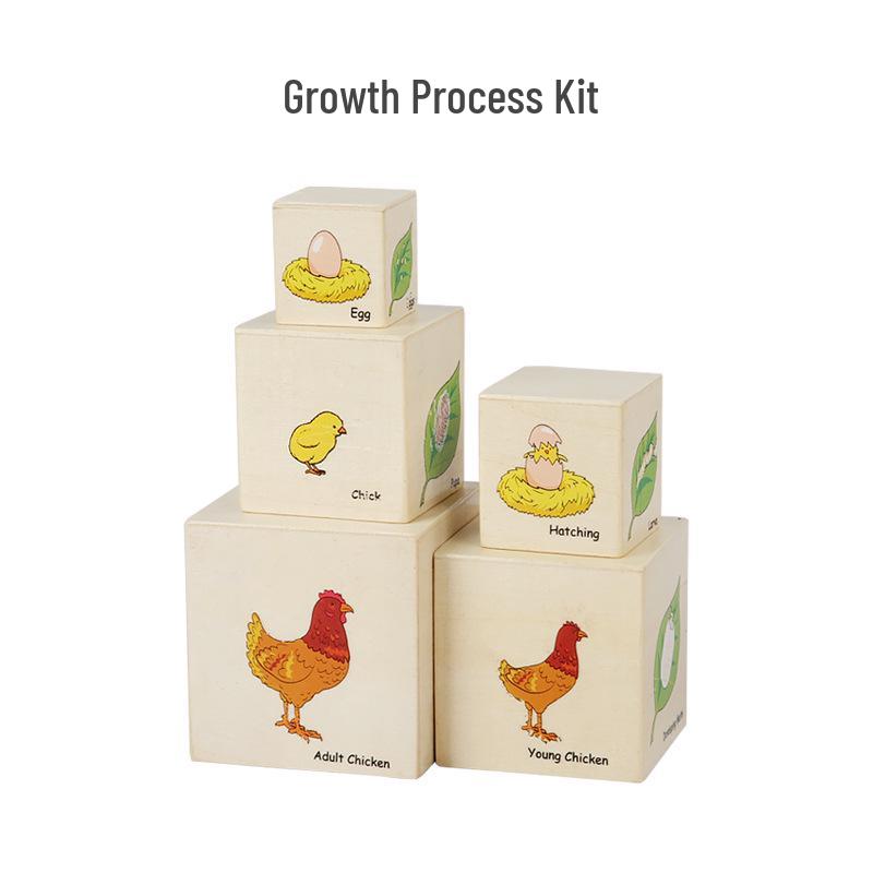 

Деревянный набор для раннего развития: 8 Планет и Стадий Роста для Логического Мышления