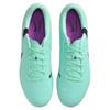 Nike Tiempo Legend 10 Academy Hg 'Purple Green'  DV4339-300