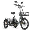 Cysum AG1 Pro All-Terrain Electric Tricycle 48V20AH Battery 750W Motor 150KM Range Cargo Electric Bicycle For Unisex