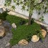 Artificial Moss Decorative Moss Fake Moss Dust-Free