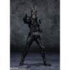 TAMASHII NATIONS S.H. Figuarts Kamen Rider BLACK SUN Standard Version 150mm ABS PVC Painted Action Figure BAS63330
