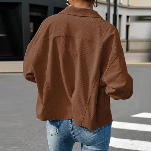 Women's Shirt Color Long Sleeved Jacket