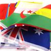 Z-ONE FLAG 100/200 Countries National Flag14x21cm 20x30cm String Flag Countries Around The World Nations Flag For Party decor