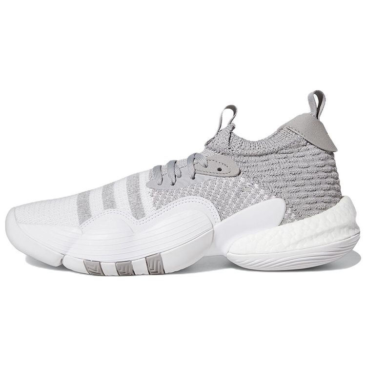 Мужские кроссовки adidas Trae Young 2 Grey Moon Cloud-White Team-Mid-Grey Off-White H03842 40⅔