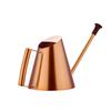 Watering Can Indoor Plant Indoor Watering Can For Plant 30.4Oz/900ml Stainless Steel Watering Can Long Spout Plant Bottl